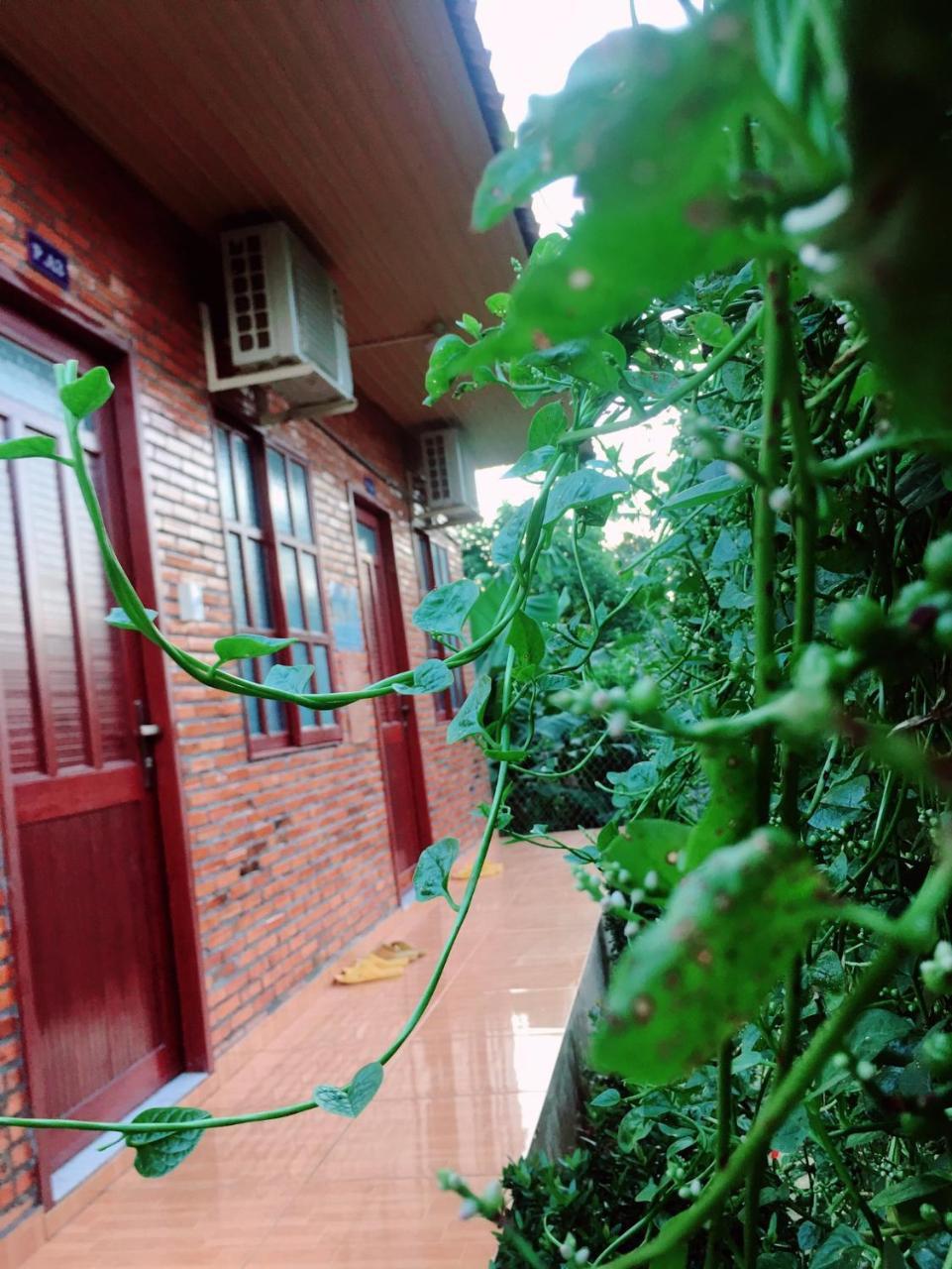 Nam Cat Tien Homestay Exteriör bild